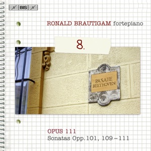 Beethoven: Piano Works (Complete), Vol. 8