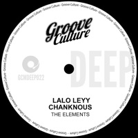 The Elements - Single - Lalo Leyy & Chanknous