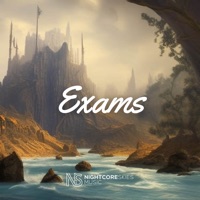 Exams - Single - Donkey Tae