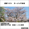 最新ベスト ラーメン千本桜(令和4年3月横浜にぎわい座白鳥ジャパン収録) - 三遊亭白鳥
