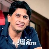 Best of Florin Peste (feat. Diana, Don Genove, Mr.Juve, Susanu, Play Aj, Lory, Georgiana, Oana & Priescu)