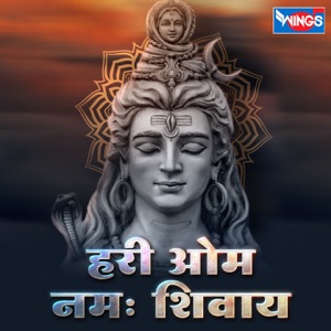 Hari Om Namha Shivay