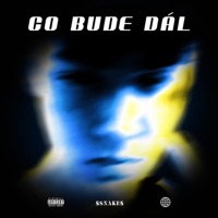 Co bude dál - Single - Savetti