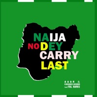 Naija No Dey Carry Last (Open Verse) (feat. AAAN & Cobhams Asuquo) - Single - Ital Ranks