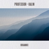 Kalin artwork