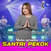 Santri Pekok - Single