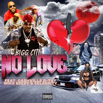 No Love (feat. Mike Beezy, Cashville D-Tay & $elebrity) - Single