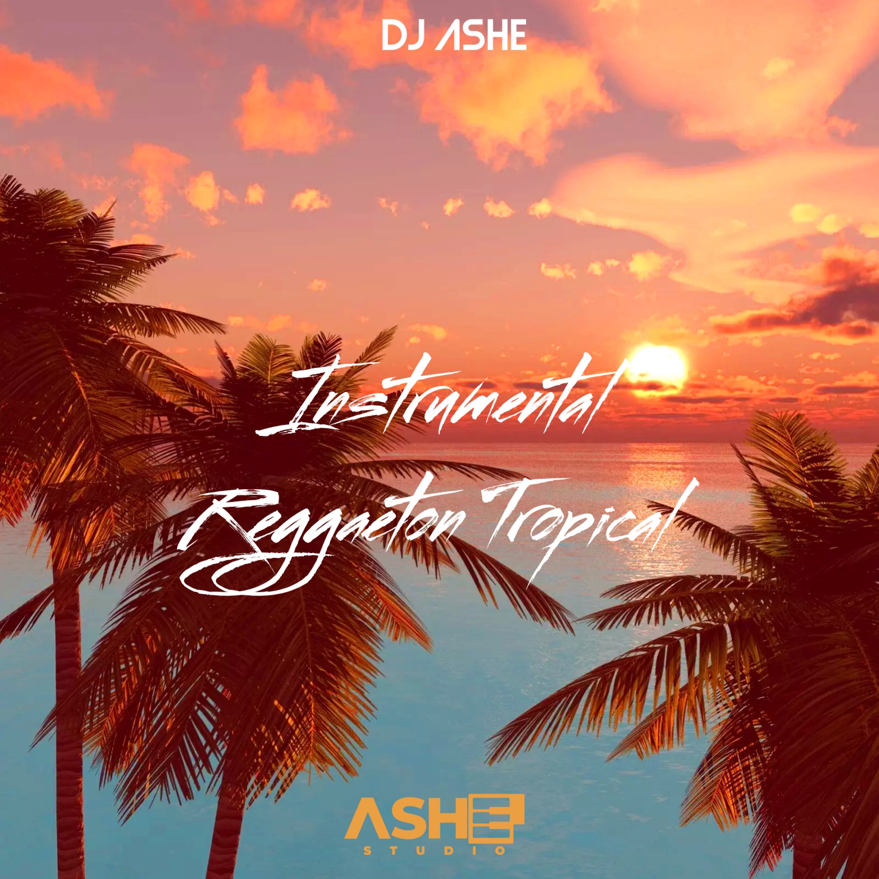 Mix Tropical - 017 - Cumbia Reggaeton Merengue - Franklin Nivelo Dj - Mezclas 2025