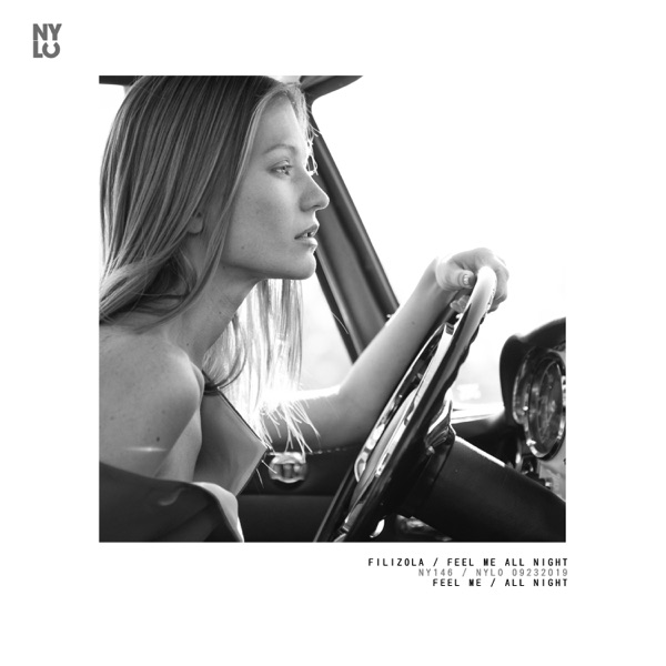 Feel Me All Night (feat. Roberta Howett) - Single
