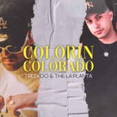 Colorín Colorado (Remix) artwork