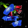 Blue Grass - EP - Cipy