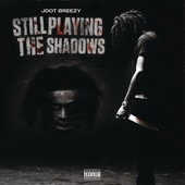 Still Playing The Shadows artwork