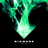 Vertigo - Siamese Cover Art