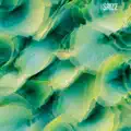shizz