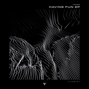 Having Fun - Single