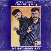 Ne Sayarsan Say artwork