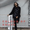 Colour of South (feat. Rachintan Trivedi) - Single