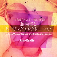 We Wish You A Merry Christmas(Lullaby Womb Sounds and Healing Electronic) - Single