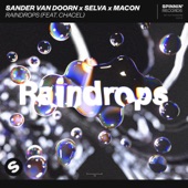 Raindrops (feat. Chacel) artwork