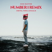Number 1 (Remix) artwork