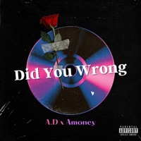 Did You Wrong (feat. Amoney) - Single - A.D