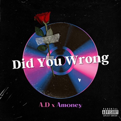 Did You Wrong (feat. Amoney) - Single