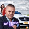 Best Of Nicolae Guta, Vol. 1