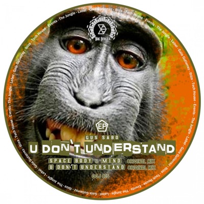 U Don' t Understand - Single