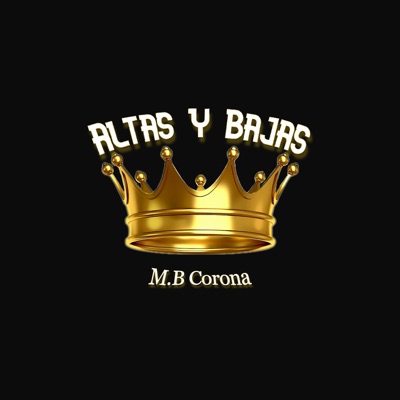 Altas Y Bajas - Single
