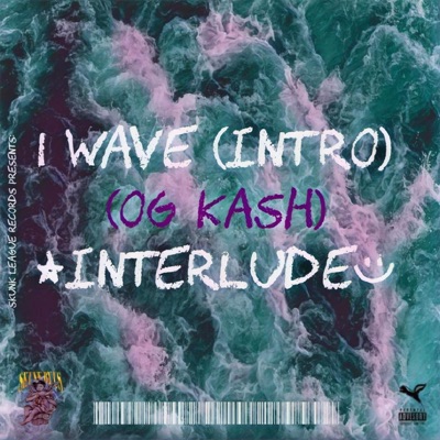 1Wave (Intro) [OG Kash Interlude] - Single