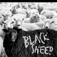 Black Sheep - Single - Blair