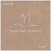 Hoit Mi (Ganslhaut Sessions) artwork