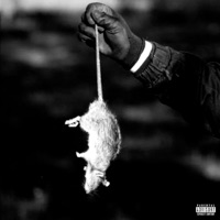 Everybodyy (You Told) - Single - Chase Moola