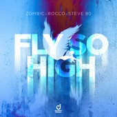 Fly so High (Extended Mix) artwork