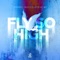 Fly so High (Extended Mix) artwork