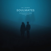 c152 & leelinhan - Soulmates