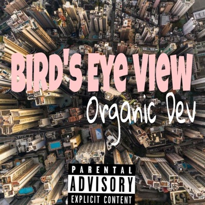Bird's Eye View - EP
