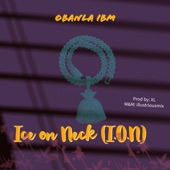 Ice on Neck (I.O.N) artwork