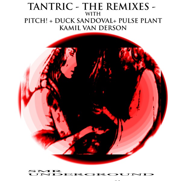 Tantric - The Remixes - - EP