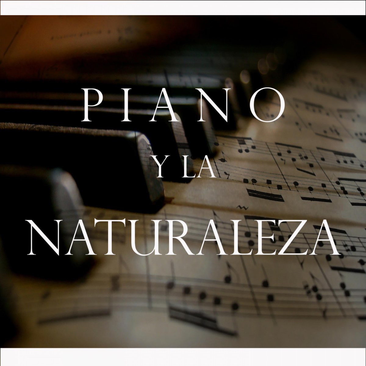 Piano y la Naturaleza by Cascada de Lluvia & Piano Suave Relajante on Apple  Music