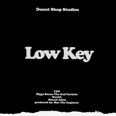 Low Key (feat. YDV, Higgz Bozon The God Particle, Knxtti & Marcel Allen) - Single