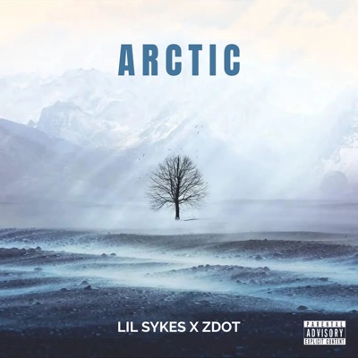 Arctic - Single