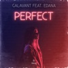 Perfect (feat. Edana) - Single