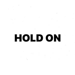 Hold On - Single