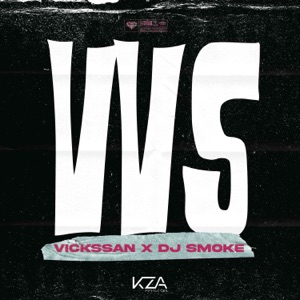 Vvs