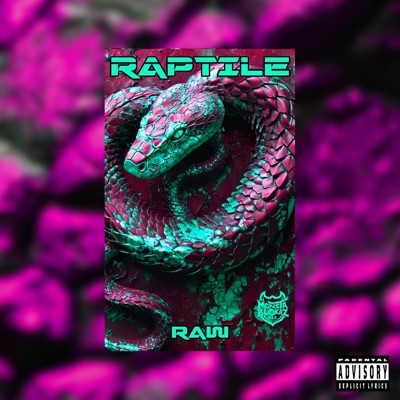 Raw (Speedy Mix) - Single