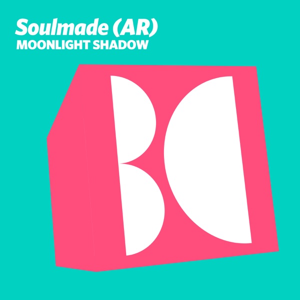 Moonlight Shadow - Single