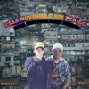 Essa Novinha É Um Perigo (feat. FAVELAMUSIC DISTRIBUIÇÃO & DJ TK DA Z/O) - Single