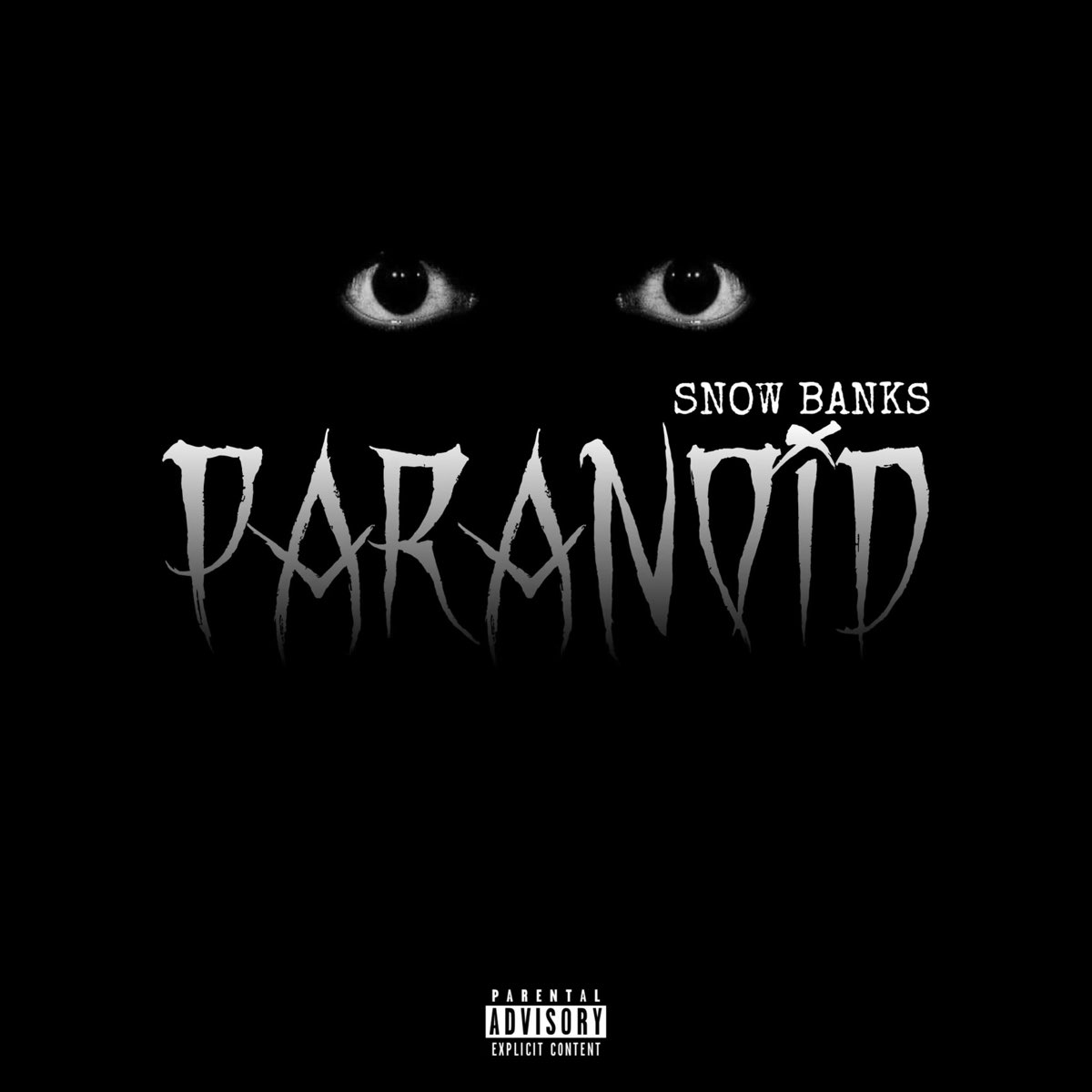 Paranoia mp3. Snow исполнитель. Black Sabbath Paranoid Cover. Snowbank.