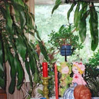 So Predictable - Chunebaby